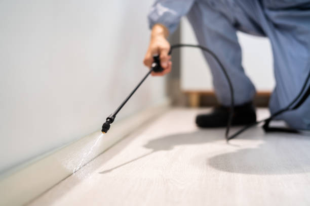 Licensed Termite Control service in Sanford, NC - Nex Pest Control