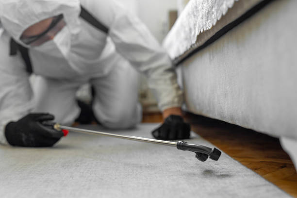 Professional Termite Control technician working in Sanford, NC