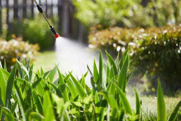 24/7 Emergency Termite Control experts in Sanford, NC