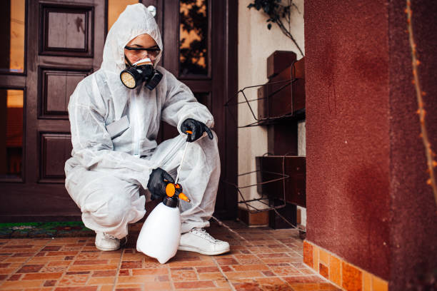 Reliable Termite Control contractor in Sanford, NC by Nex Pest Control
