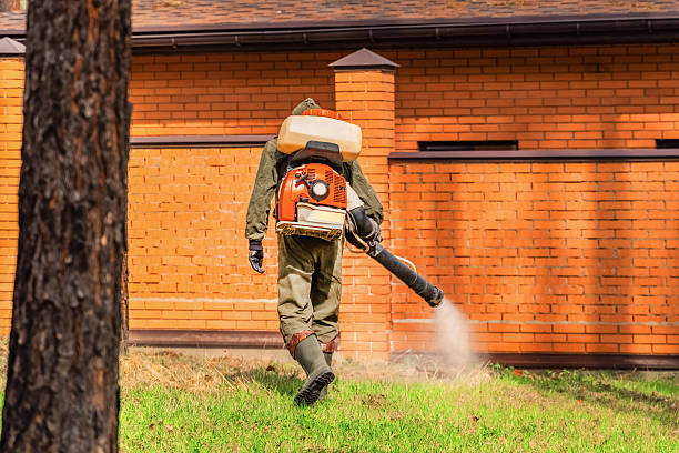 Top rated local Termite Control specialists in Sanford, NC